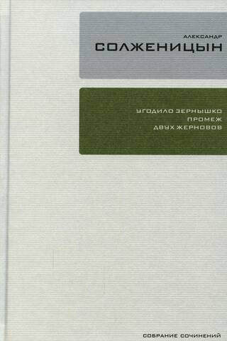 Collected Works. In 30 volumes. Volume 29: A Grain Caught Between Two Millstones: Essays on Exile