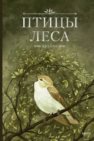Птицы леса. Артбук