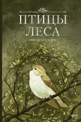 Птицы леса. Артбук