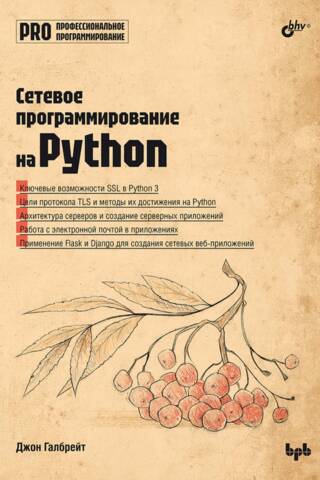 Профессиональное программирование. Сетевое программирование на Python