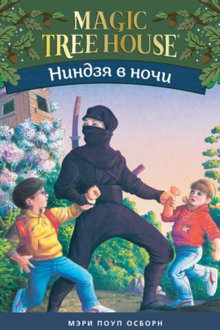 Ninja in the Night