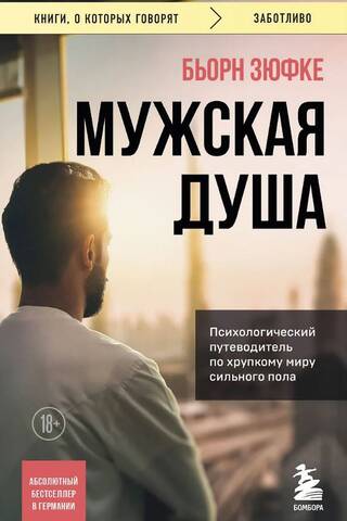 Мужская душа. Психологический путеводитель по хрупкому миру сильного пола