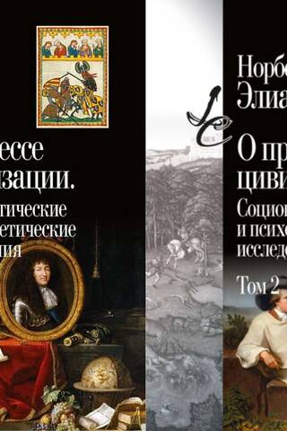 О процессе цивилизации : социогенетические и психогенетические исследования. В 2 томах