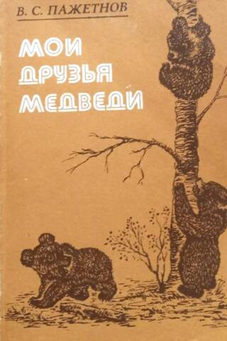 Мои друзья медведи