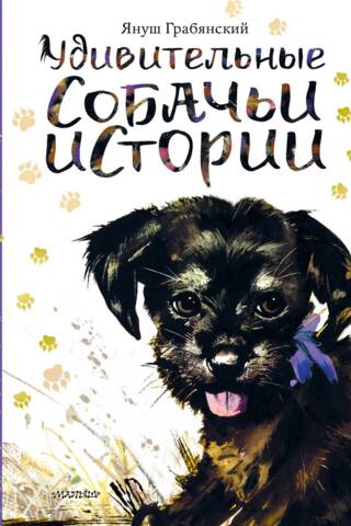Amazing dog stories
