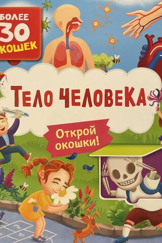 Книги с окошками. Тело человека