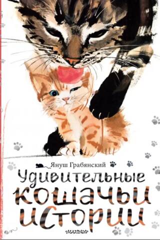 Удивительные кошачьи истории