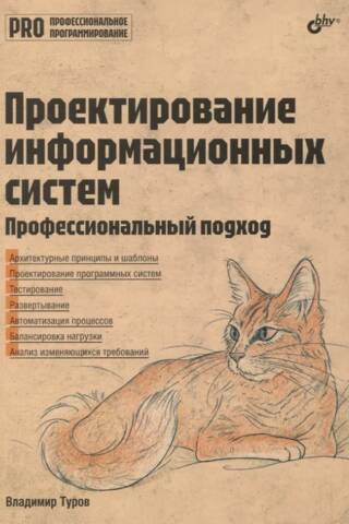 Проектирование информационных систем. Профессиональный подход
