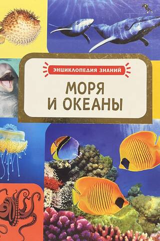 Моря и Океаны
