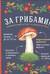 За грибами. Карманный атлас-определитель