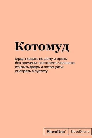 Котомуд. Блокнот SlovoDna