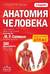 Анатомия человека