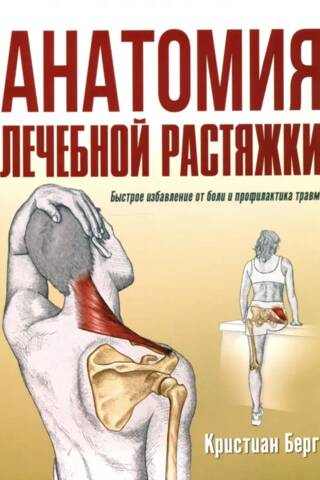 Анатомия лечебной растяжки. Быстрое избавление от боли и профилактика травм