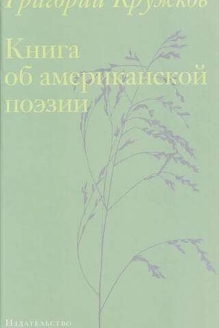 Книга об американской поэзии