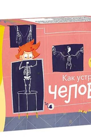 Как устроен человек. Викторины с Чевостиком