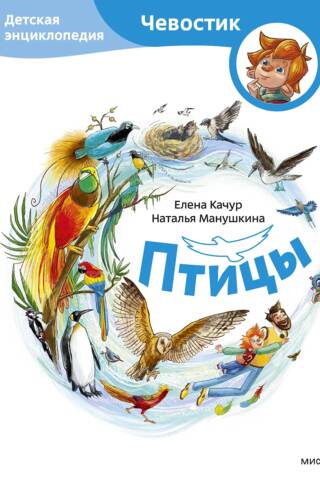 Птицы. Детская энциклопедия