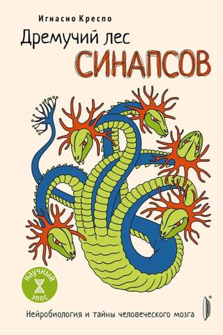 Дремучий лес синапсов. Нейробиология и тайны человеческого мозга