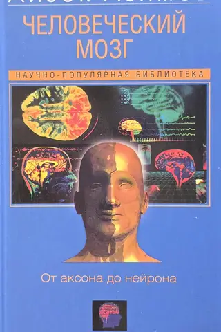 The Human Brain: From Axon to Neuron