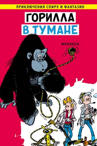 Горилла в тумане