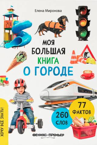 Моя большая книга о городе