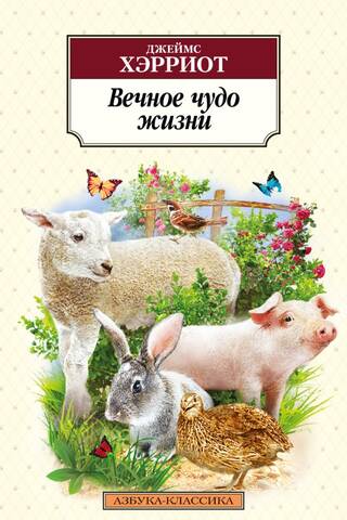 Вечное чудо жизни