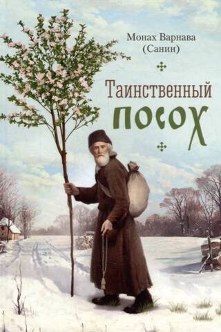 Таинственный посох