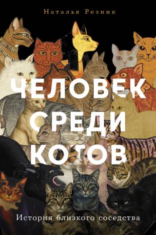 Человек среди котов: История близкого соседства