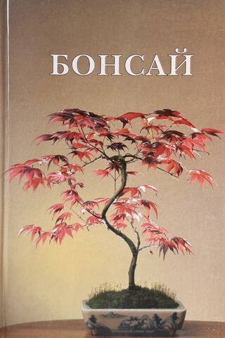 Бонсай