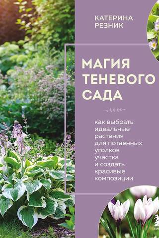 Магия теневого сада. Как выбрать идеальные растения для потаенных уголков участка и создать красивые композиции