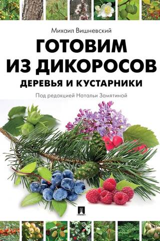 Готовим из дикоросов. Деревья и кустарники