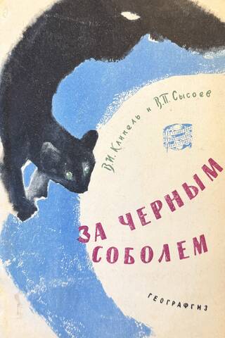 За черным соболем