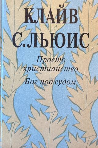 Просто христианство. Бог под судом