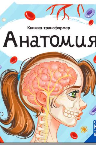 Книжка-трансформер. Анатомия