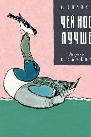 Чей нос лучше