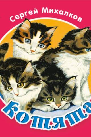 Котята