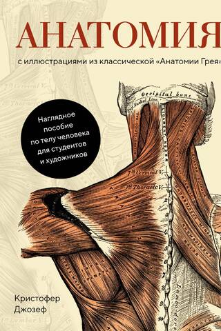 Анатомия: с иллюстрациями из классической «Анатомии Грея»