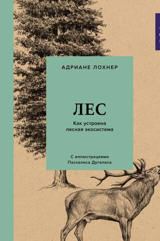 Лес. Как устроена лесная экосистема