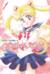 Sailor Moon. Том 1
