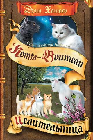 Сны и видения Бабочки. Книга 2. Целительница
