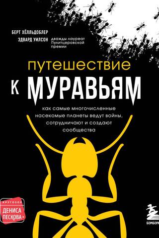Путешествие к муравьям: как самые многочисленные насекомые планеты ведут войны, сотрудничают и создают сообщества