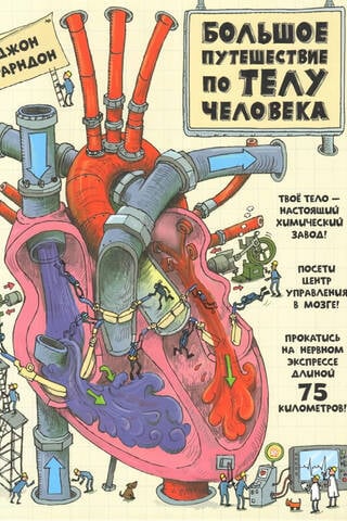 Большое путешествие по телу человека