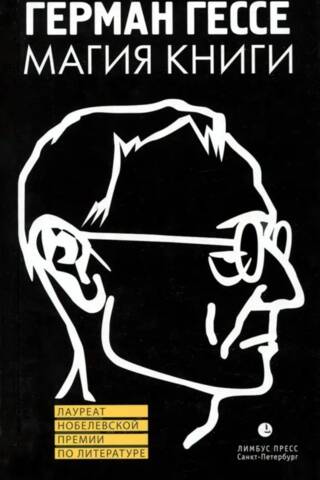 Магия книги. Эссе о литературе