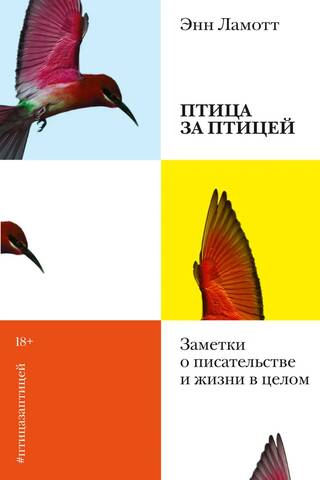 Bird by Bird: Notes on Writing and Life in General