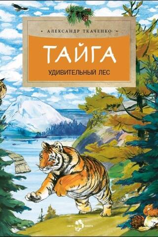 Taiga. An amazing forest.