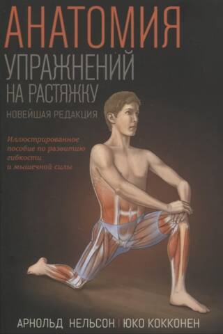 Анатомия упражнений на растяжку