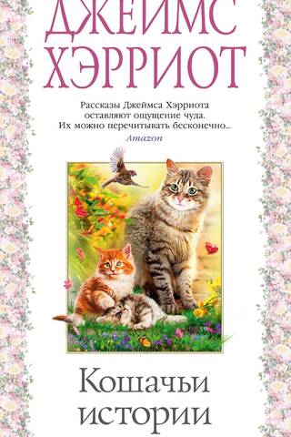 Cat stories