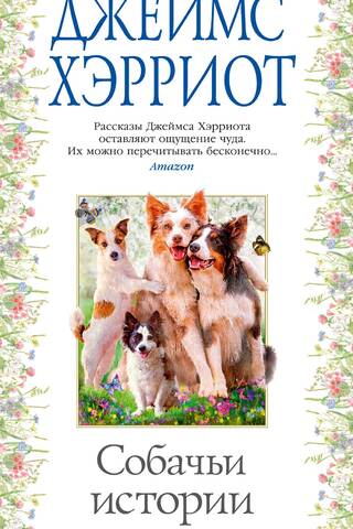 Dog Stories