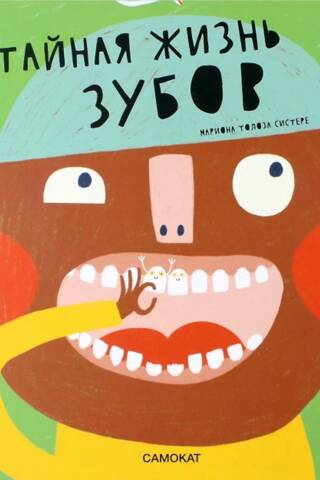 The Secret Life of Teeth