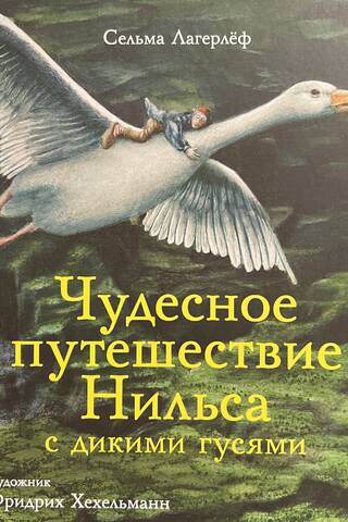 Чудесное путешествие Нильса с дикими гусями
