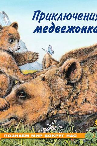Познаем мир вокруг нас. Приключения медвежонка